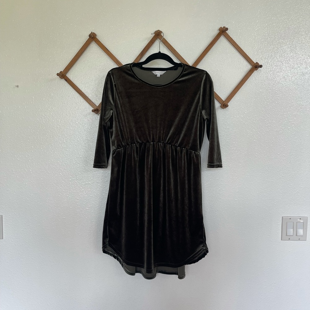 Amaryllis Polyester Minidress (Velvet Appearance)